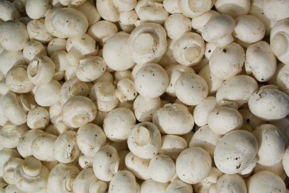 FIT PRZEPISY – Z DODATKIEM PIECZAREK