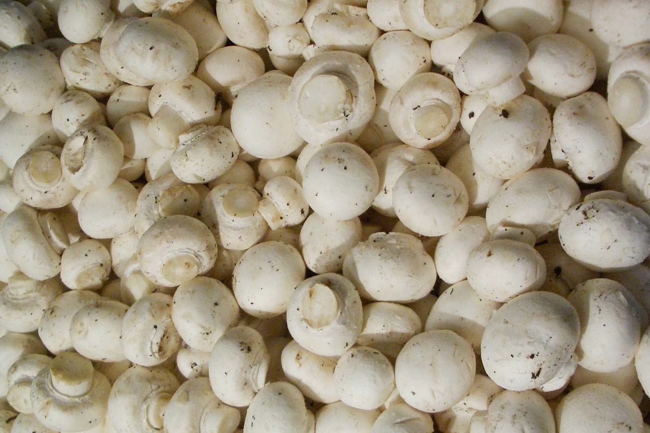 FIT PRZEPISY – Z DODATKIEM PIECZAREK