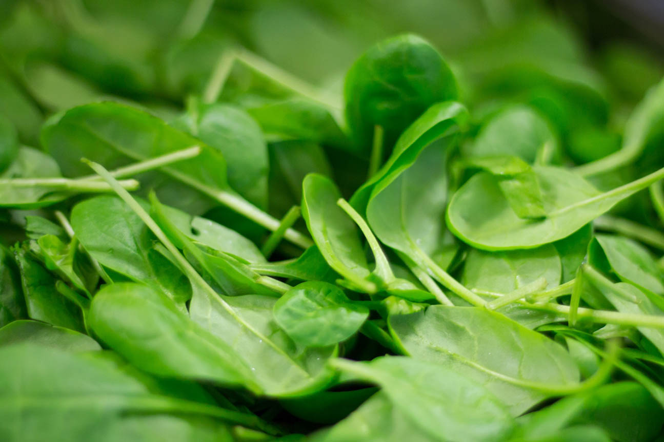 FIT PRZEPISY ZE SZPINAKIEM