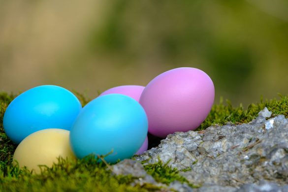 WIELKANOCNE PRZEPISY – FIT SMAKI